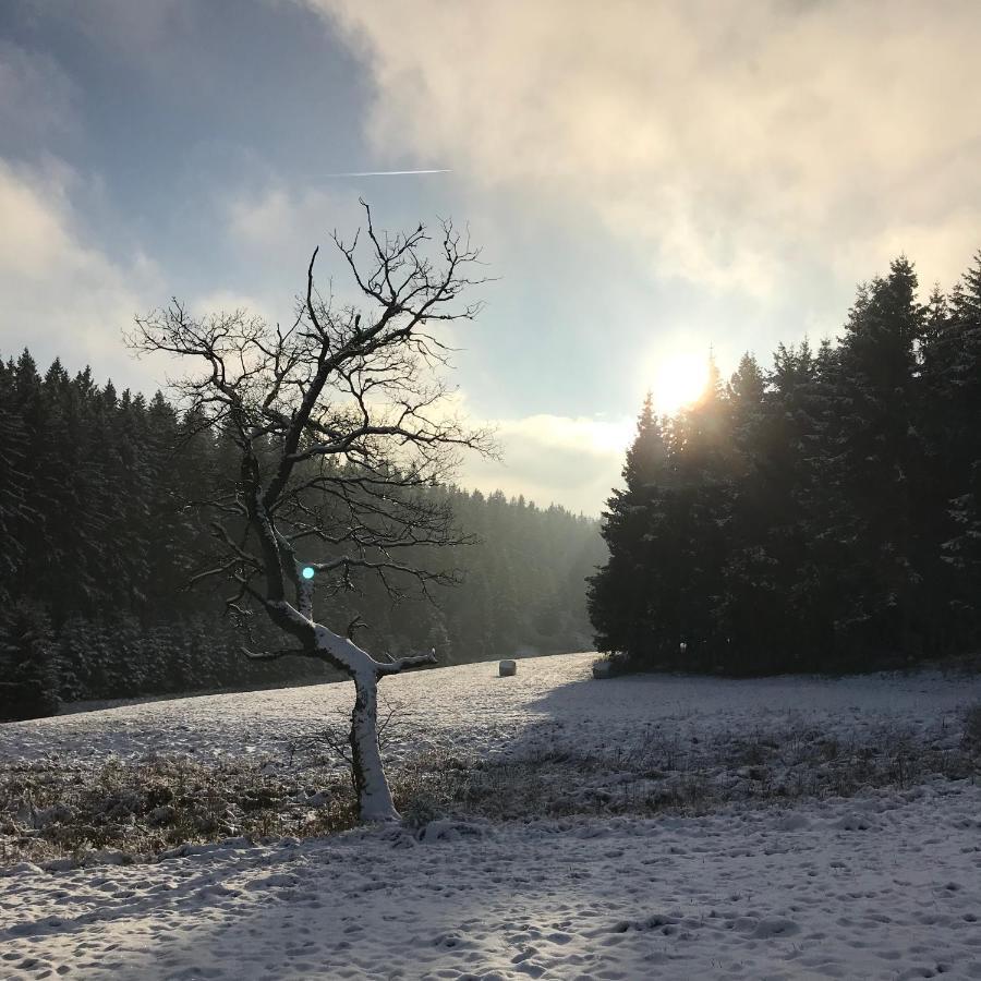 Chalet De Charme, Le "Caribou Lodge", Eifel Belge Bullange Zewnętrze zdjęcie